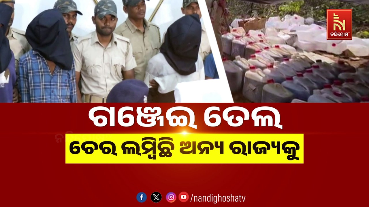 🔴Live | ଗଞ୍ଜେଇ ତେଲ : ଚେର ଲମ୍ବିଛି ଅନ୍ୟ ରାଜ୍ୟକୁ