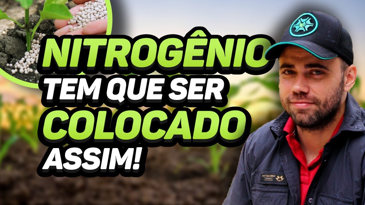 TEORIA NA PRÁTICA #01 - Nitrogênio: utilização, cuidados e manejo