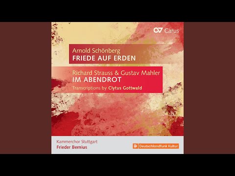 R. Strauss: 5 Lieder, Op. 48: No. 1, Freundliche Vision (Transcr. Gottwald for Choir)