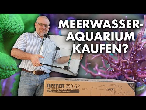 Das solltest du wissen.. bevor du ein MEERWASSERAQUARIUM kaufst