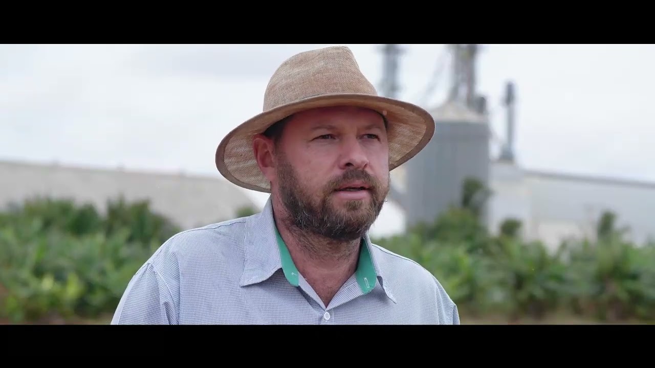 #Websérie AgroSafra Episódio - 07 | Colheita de Soja safra 2021/22