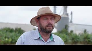 #Websérie AgroSafra Episódio - 07 | Colheita de Soja safra 2021/22