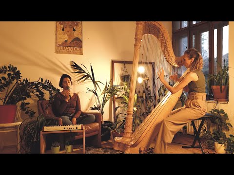 NUJA Meditation - Geführte Achtsamkeitsmeditation