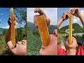 [ ASMR ] Eating Honeycomb, Mouthwatering Honey Videos Mukbank