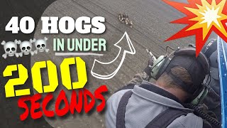 UNLEASHED: 40 HOGS IN 200 SECONDS - Pigman Hits the Motherload of Aerial Pork Insanity.