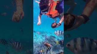 Lặn Snorkeling tại H&ograve;n Mun Nha Trang 🤿 #dulich #dulichnhatrang #honmun #snorkeling #travel