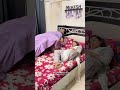 Kesa Laga Mera Mazak Papa Ki Pari To Darr Gayi Vishalbhatt Prank Shorts