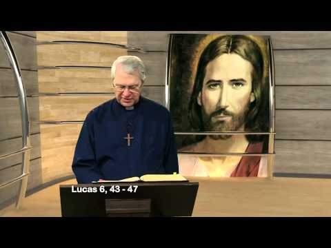 Meu Senhor e Meu Deus - Lucas 6, 43-47