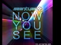 Sean Tyas - Now You See (Original Mix) [TWT 065 ...