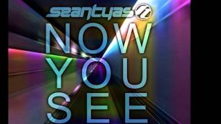 Sean Tyas - Now You See (Original Mix) [TWT 065 RIP]