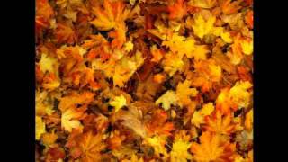 Childish Gambino - Lights Turned On