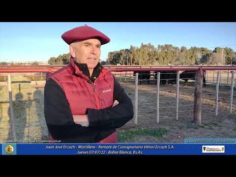 07-07-22 - Juan José Ercazti -Martillero - Remate de Consignataria Vittori Ercazti S.A.-Bahía Blanca