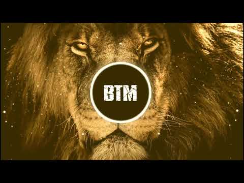 Dubdogz, Liu, Hard Lights - The Lion (feat. Sara Sangfelt)