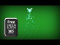 Fairy Tail Green Screen Video Effects Green Screen Glitter Effect Light Effect Green Screen