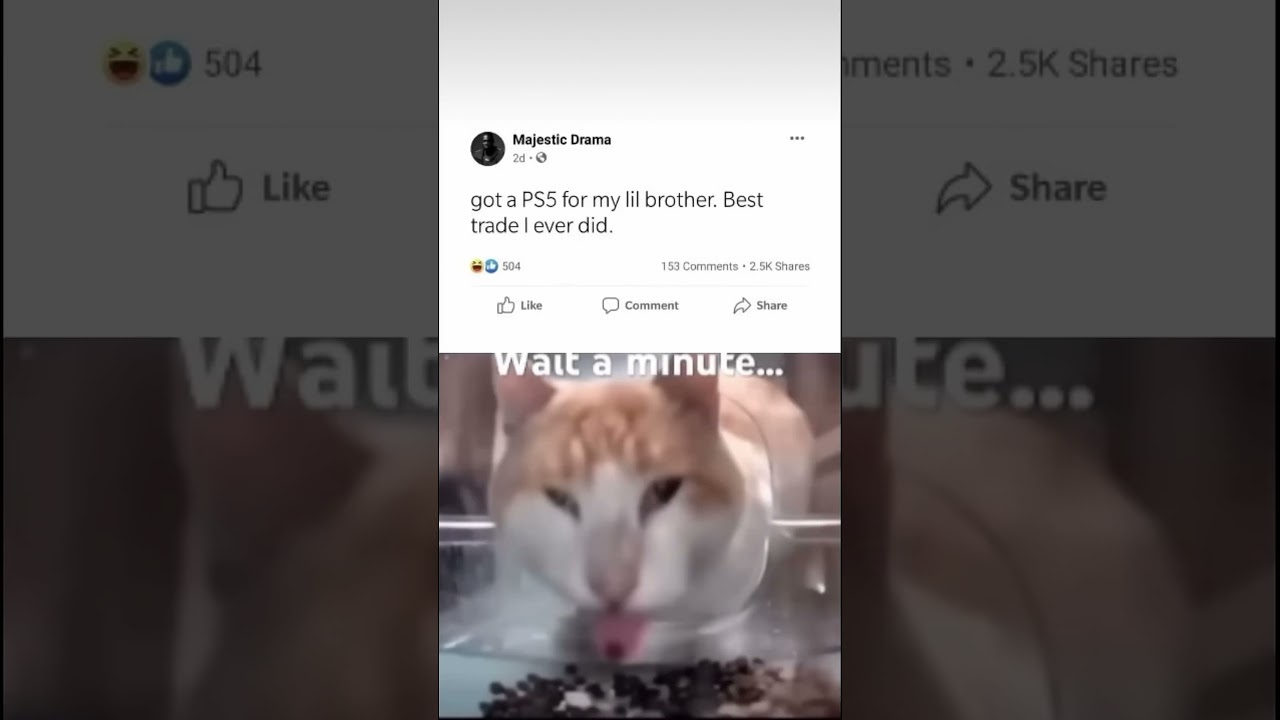 Wait a Minute...#funnyshorts #viralvideo #fyp #fypシ  #viewsproblem #meme #cat #shortsfeed #shorts