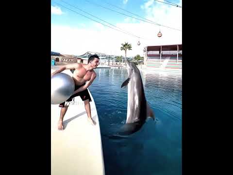 Ronaldo X Dolphin🐬 #ronaldo #edit