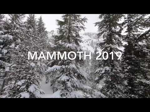 Mammoth 2019