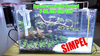 aquascap nano tank bonsai
