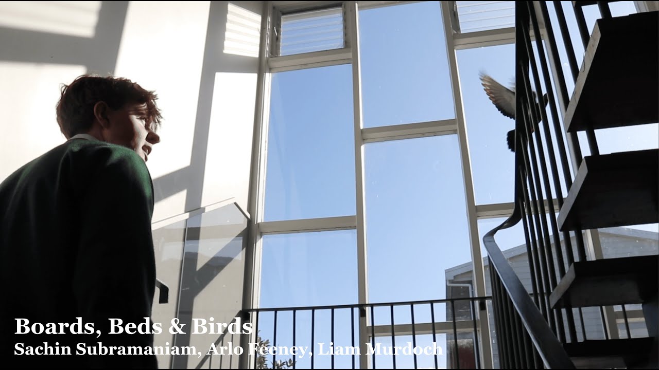 Boards, Beds & Birds | A Mockumentary