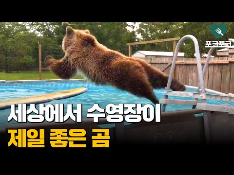 아이콘