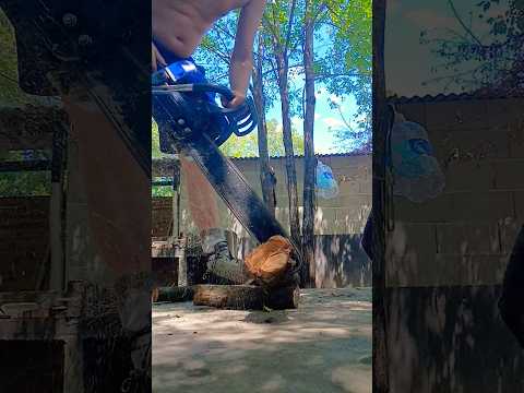 Libertad #casagrande #cordoba #motosierra #alerta