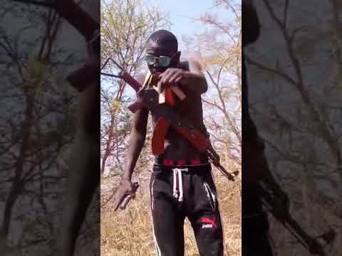 Smart Dog young man Titbaai