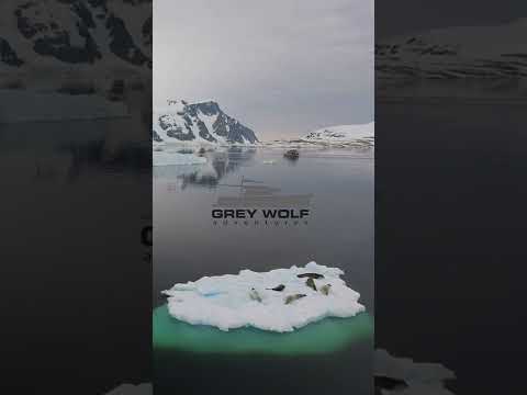 FPB 78-02 GREY WOLF II in Antarctica - Berthon International #Shorts