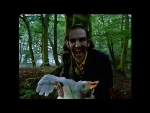 SIRE | Vuurwerk Yogho-Yogho | 1992