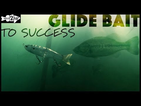 The Basics of Glide Bait Fishing Bass