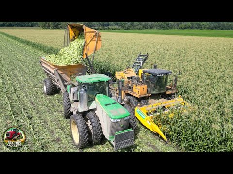 Sweet Corn Harvesting Machines at Work