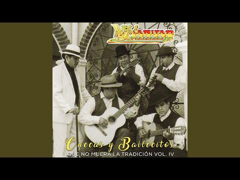 Si Hoy Te Vas - Los Kjarkas