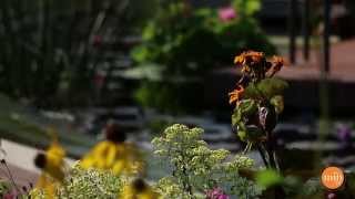 Make It Better "Best of" Celebration 2014