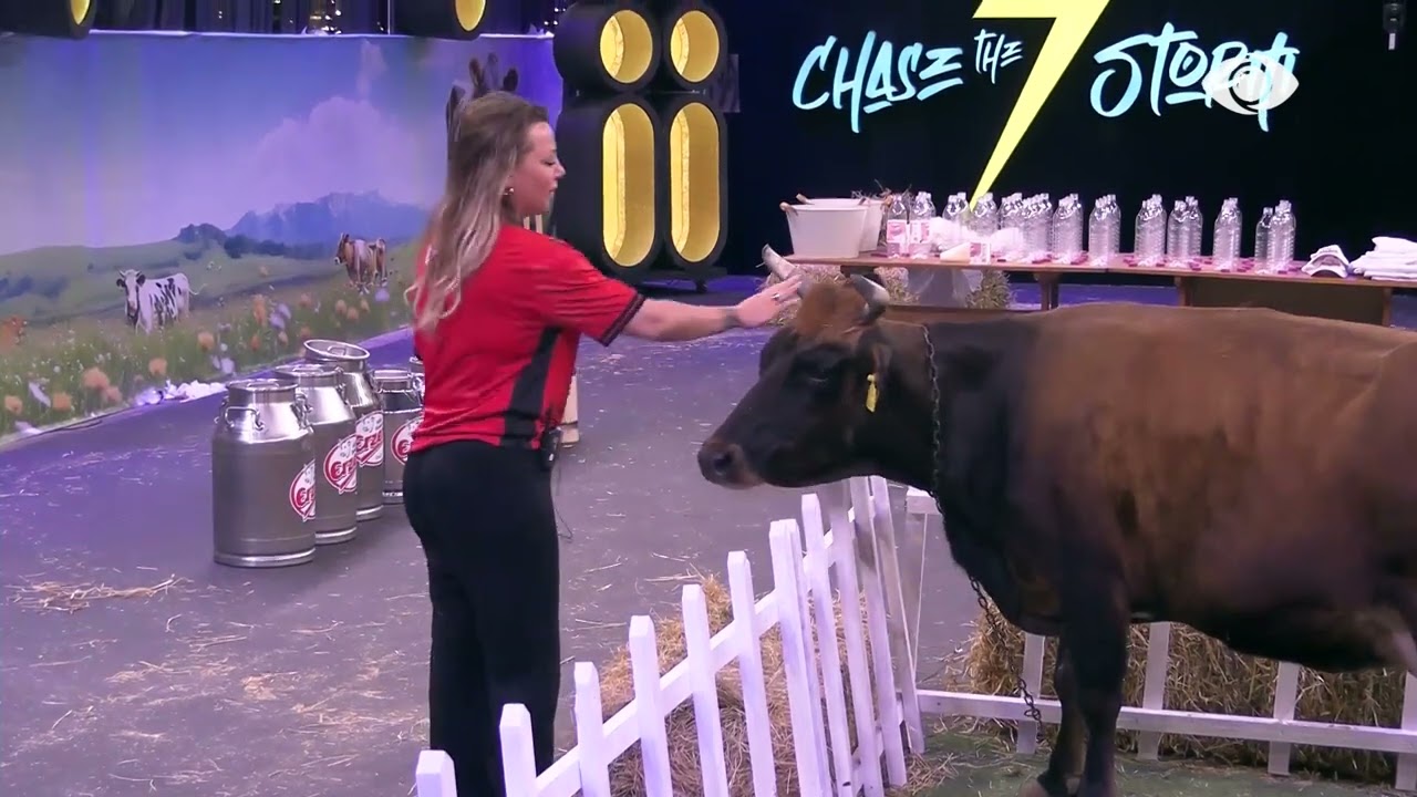 Mirëmëngjes bukuroshe/ Gerta nis ditën duke përkëdhelur Murrën