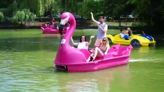 faze tari conversatii originale