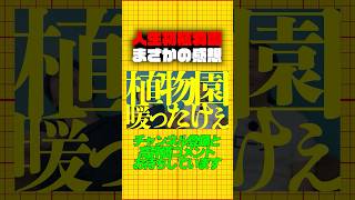 カルチャーショック#植物園#夢の島熱帯植物館#ラジオ#雑談#podcast