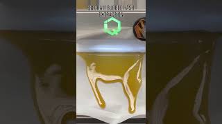 38 Gram Bubble Hash Extraction
