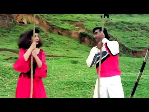 Pyar Ka Nasha Aisa Chadha (💘Jhankar💘) Ek Hi Raasta 1993 - Ajay Devgan & Raveena Tandon