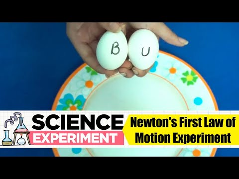 Newton's First Law of Motion Experiment  | Science Experiment -29 | Easy Chemistry Experiments