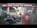 Adek Ikut Mbah Kakung Dan Bunda Sidak Rumah Dan Kambing Qurban