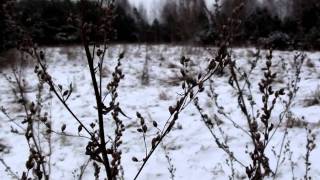 Bang Gang - Something Wrong