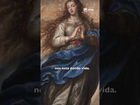 «El cristiano no es huérfano.En Cristo, tenemos Madre» Papa Francisco