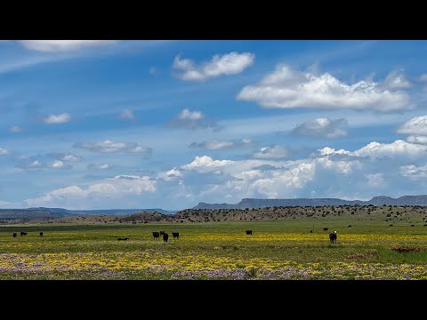 #16  Santa Fe - Amarillo