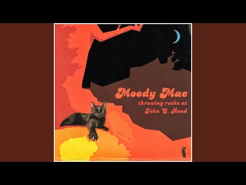 Scribbles from a Garden View