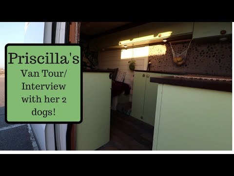 VanLife Tour: Living by the Beach with 2 dogs