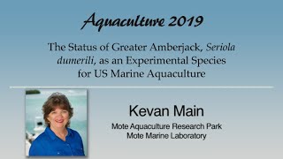 Download Lagu Kevan Main: Greater Amberjack, Seriola dumerili, Aquaculture Thumbnail