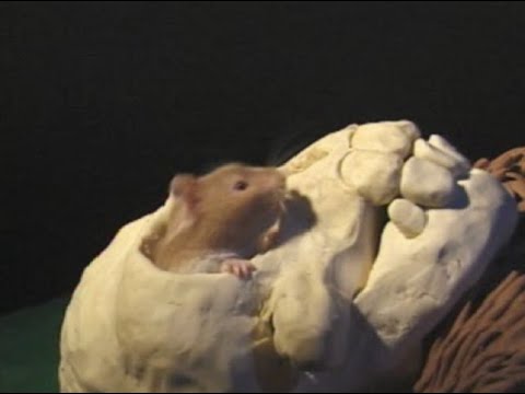 "Skullmonkeys" Cutscenes (German/Deutsch)