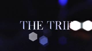 There There - The Trip video