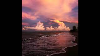 All the Flowers - Bibio (too slowed down)