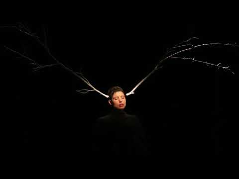 THE GREAT BEAUTY | TRAILER