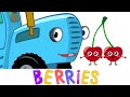 Berries Song The Blue Tractor Kids Songs Cartoons